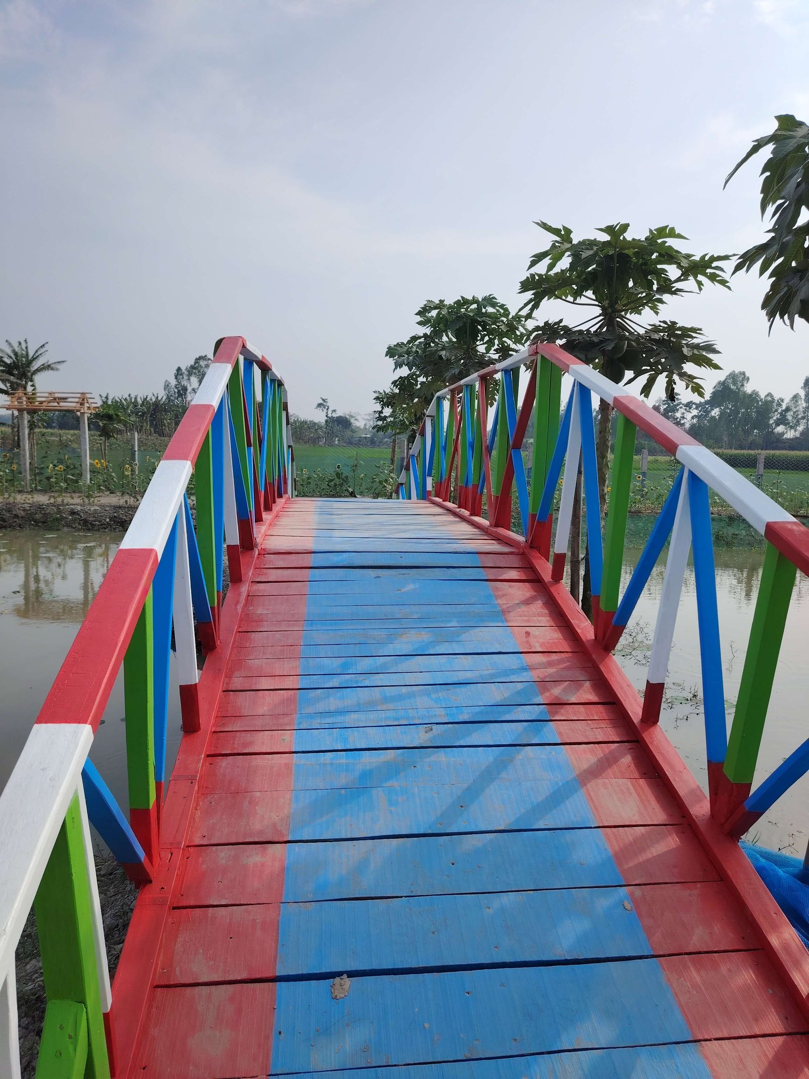 Wellness & Relaxation