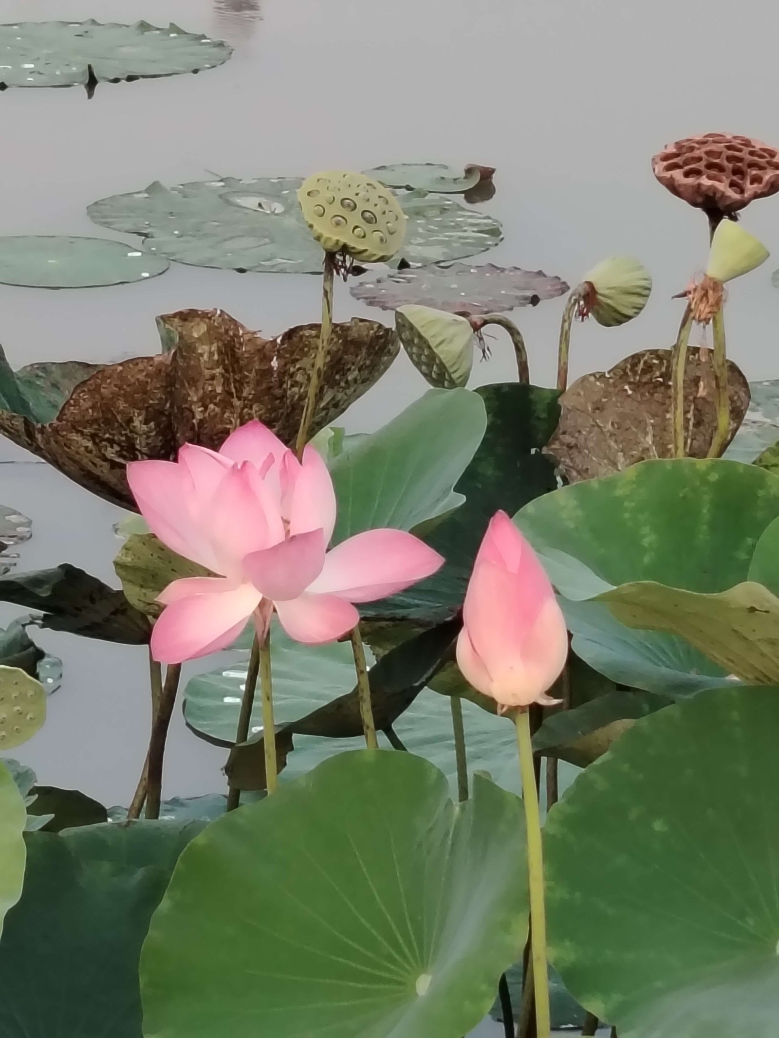 The Best Recreation Place in The City